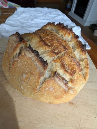 Beginner Basic Sourdough Bread image